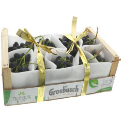 RAISIN NOIR BLACK MAGIC GROSBUSCH 5KG